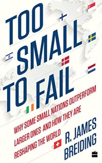 Too Small To Fail : Why Some Small Nations Outperform Larger Ones And How They Are Reshaping The World