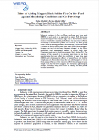 Effect of Adding Maggot (Black Soldier Fly) On Wet Food Against Morphology Conditions and Cat Physiology